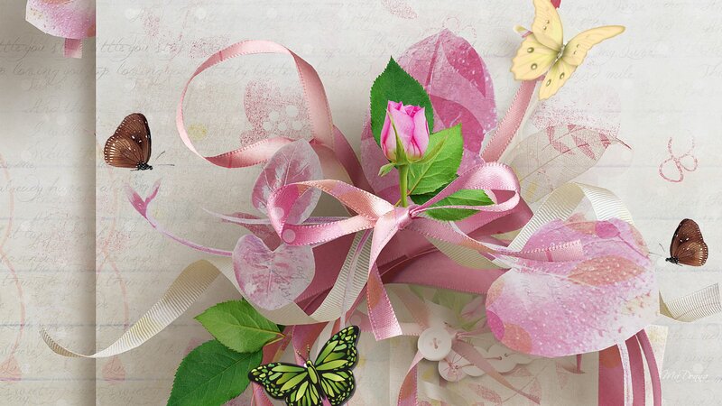 Pink Rose with Ribbons