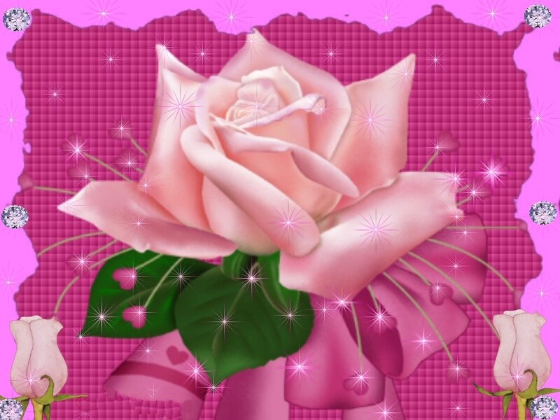 pink rose with sparkles