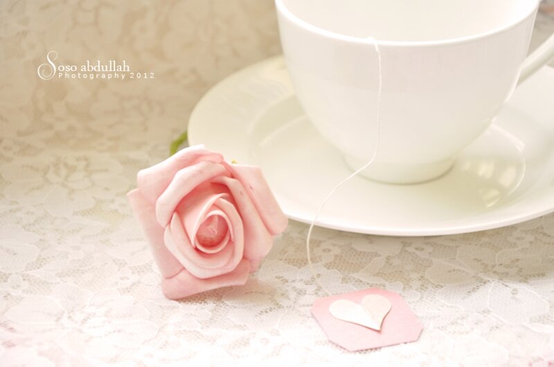 Pink Rose with Tea Cup