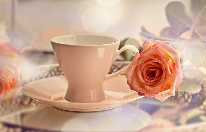 Pink Rose with Teacup — Serene
