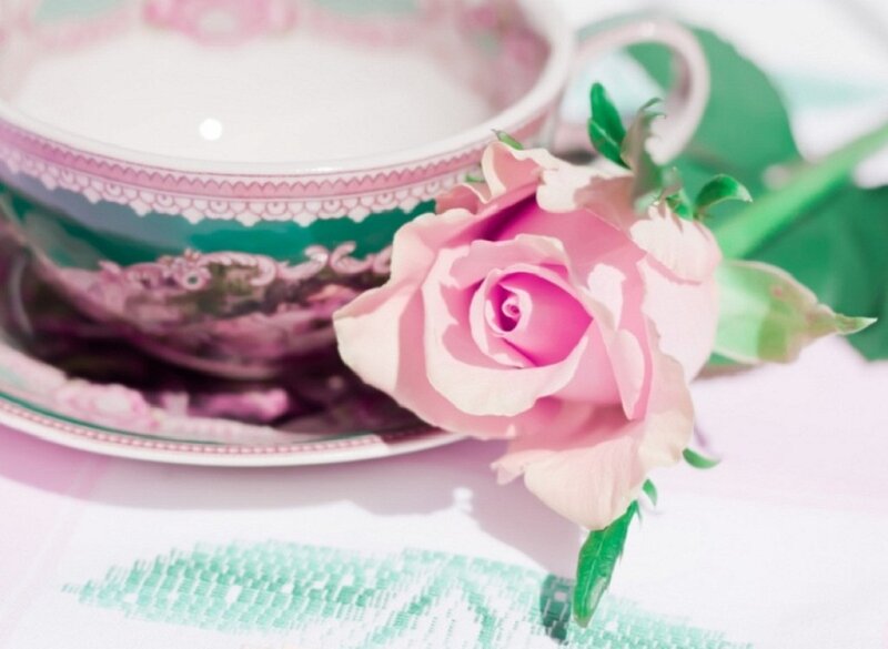 Pink Rose with Teacup