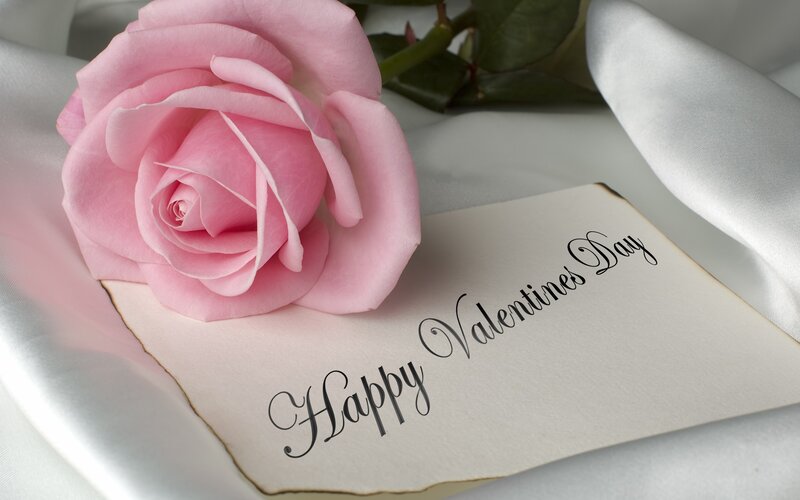 Pink rose with Valentine's card