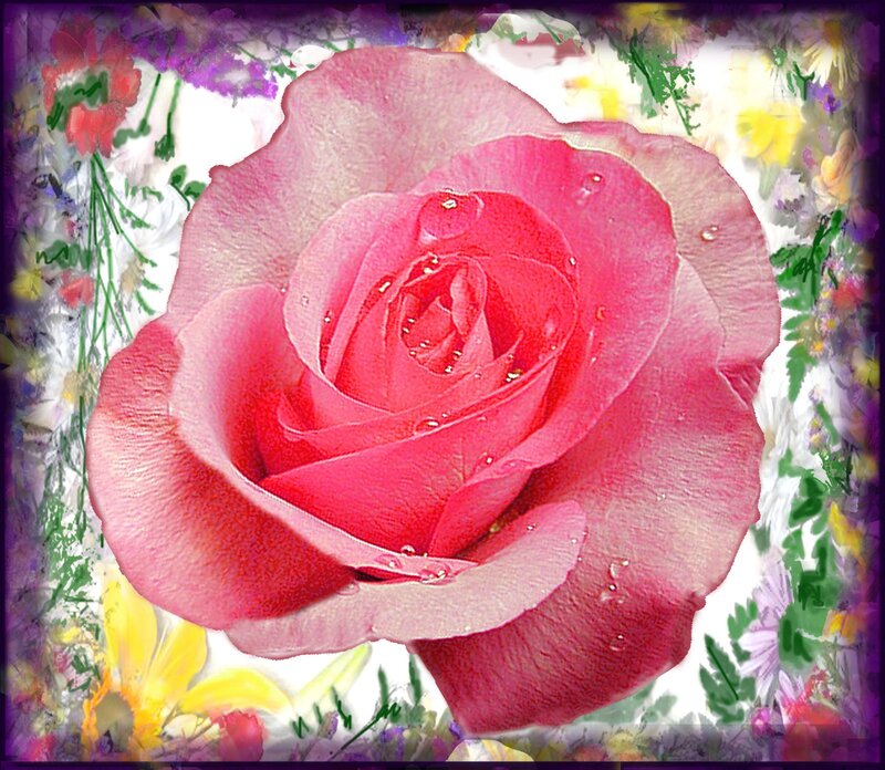 Pink Rose with Water Droplets — Serene, Digital Art, Water Droplets