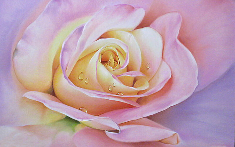 Pink Rose with Water Droplets — Serene, Painting, Water Droplets