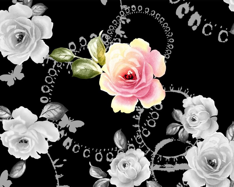 Pink Rose with White Roses — Black