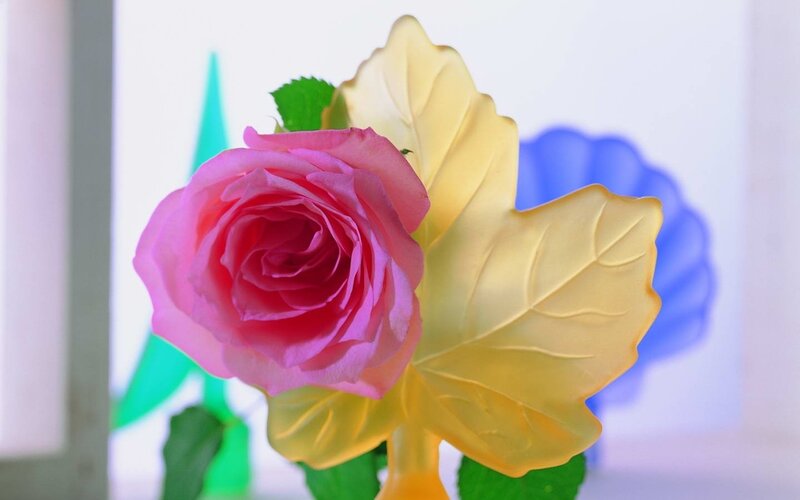 Pink Rose with Yellow Leaves — Calm
