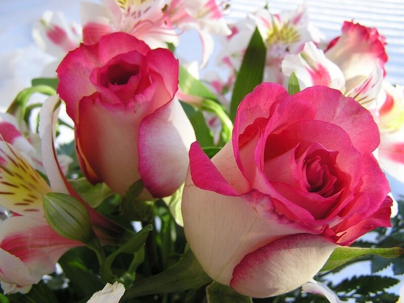 Pink roses and alstroemeria bouquet