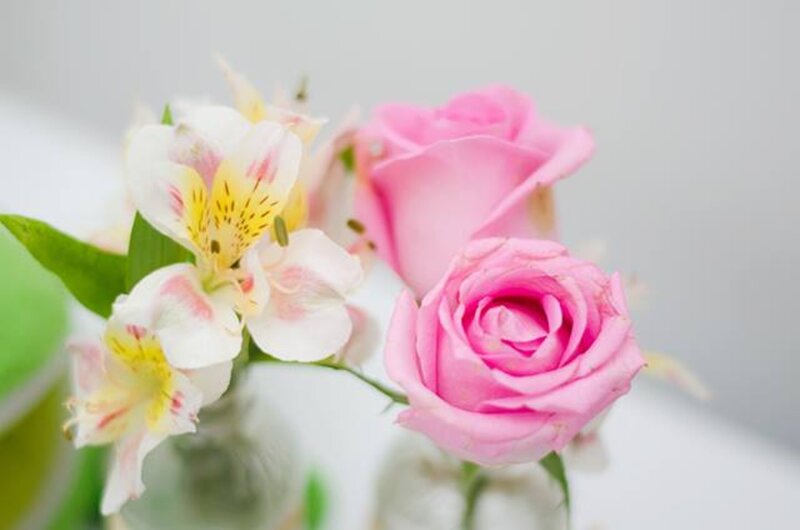 Pink Roses and Alstroemeria — Calm, Photograph, Flowers