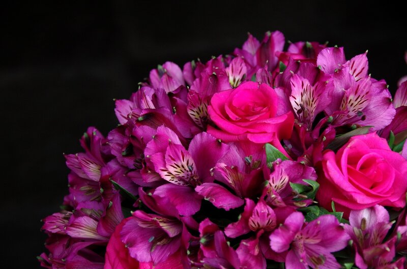 Pink Roses and Alstroemeria — Magenta