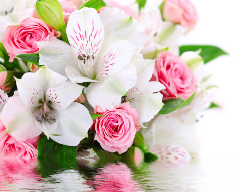 Pink Roses and Alstroemeria — Serene
