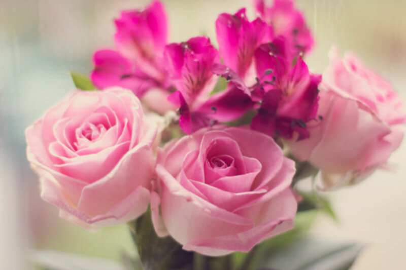 Pink Roses and Alstroemeria — Soft