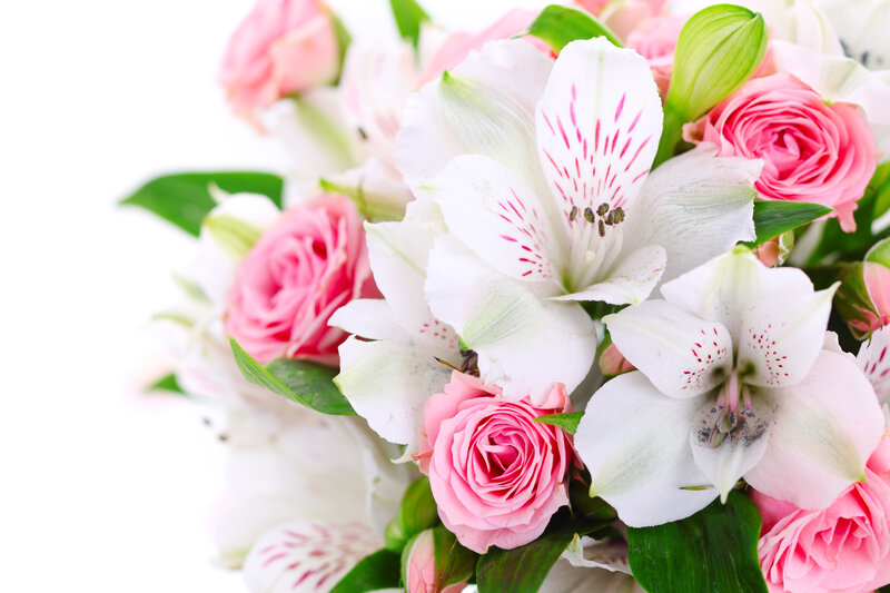 Pink Roses and Alstroemeria
