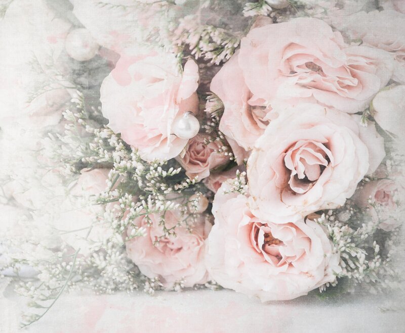 Pink Roses and Baby's Breath — Soft
