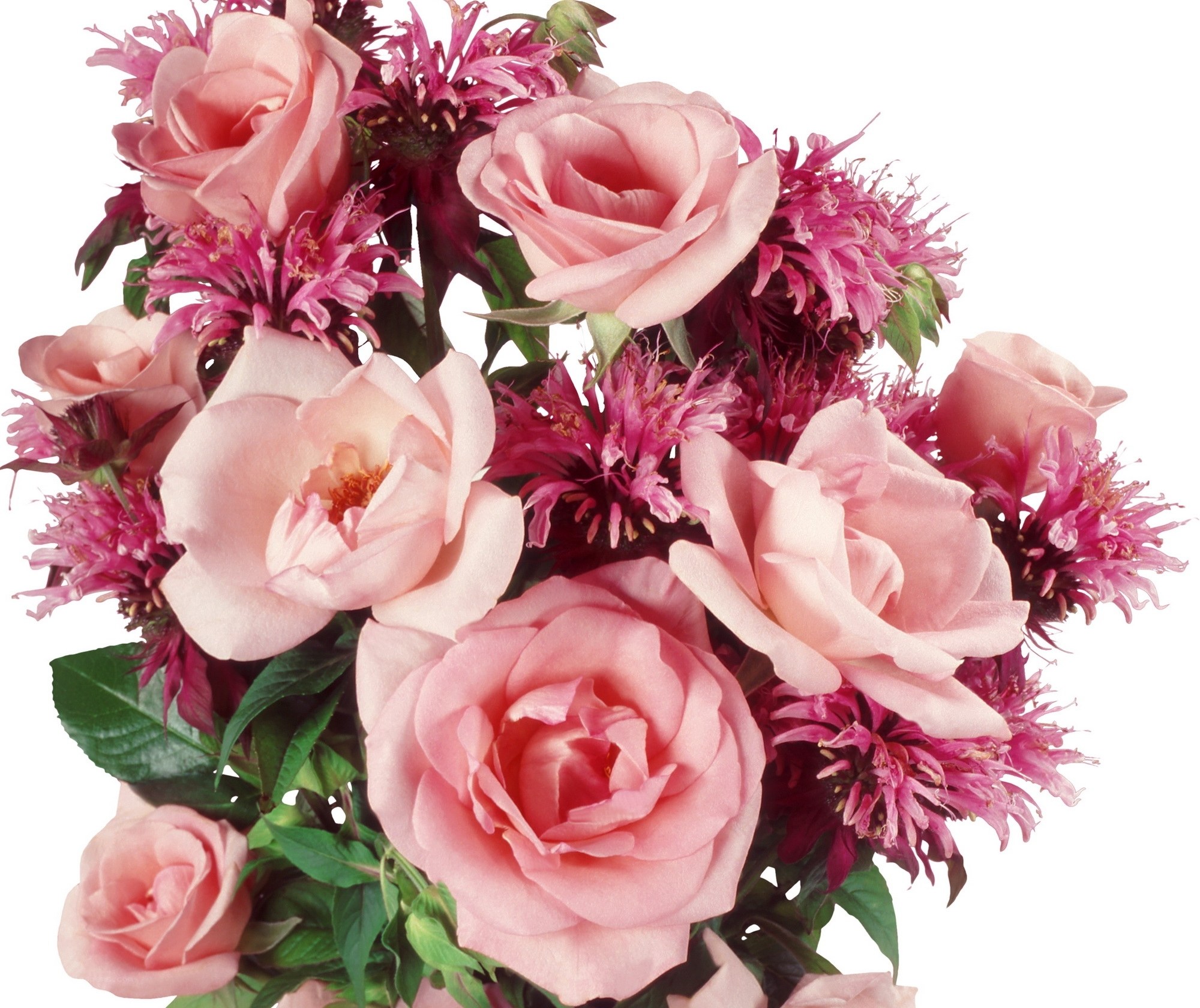 Pink roses and bee balm bouquet
