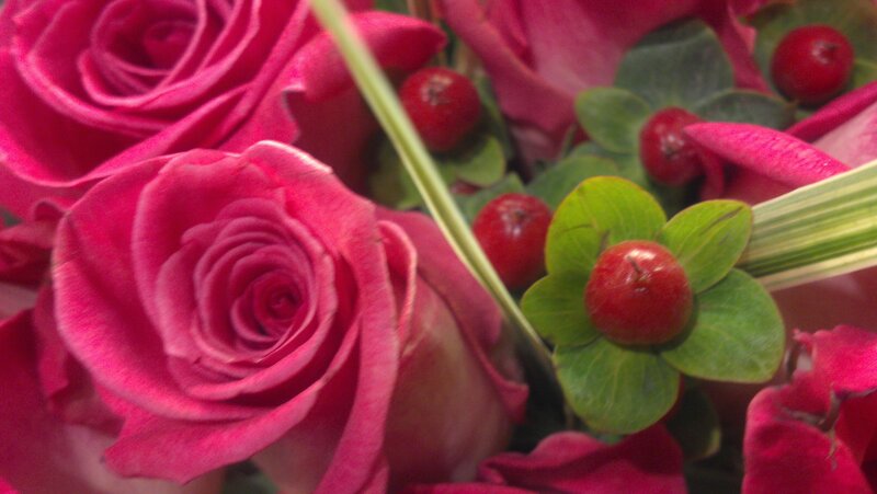 Pink Roses and Berries — Calm