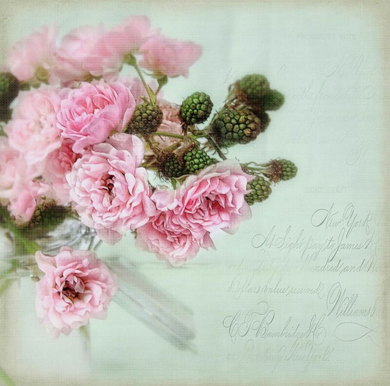 Pink Roses and Berries — Serene