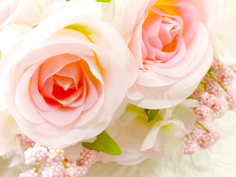 Pink Roses and Berries — Soft