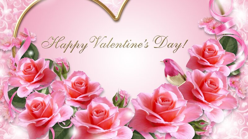 Pink Roses and Bird