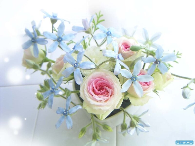Pink roses and blue flowers