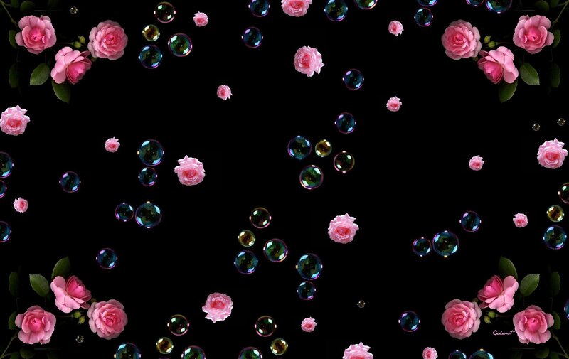 Pink Roses and Bubbles — Black