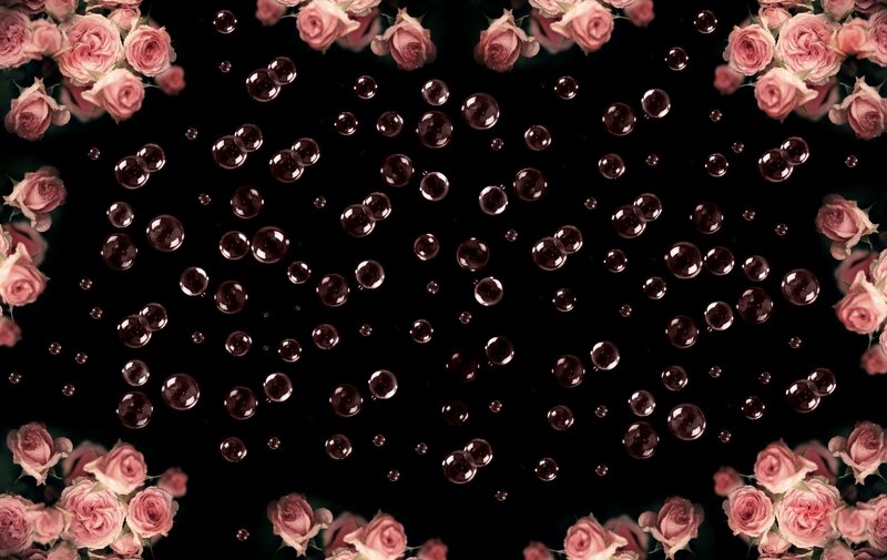 Pink Roses and Bubbles — Calm