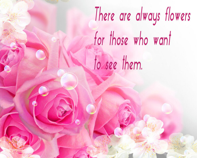 Pink Roses and Bubbles