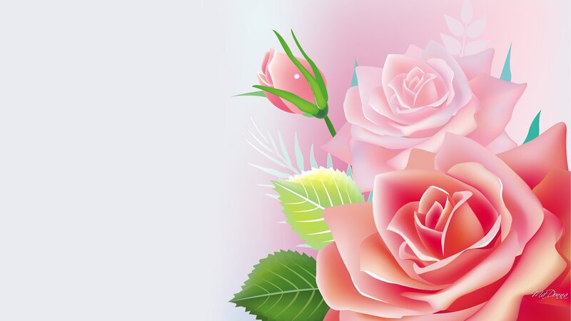 Pink Roses and Buds — Serene, Digital Art