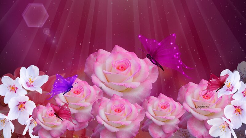 Pink Roses and Butterflies — Dreamy, Digital Art, Flowers