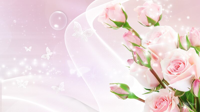 Pink Roses and Butterflies — Dreamy