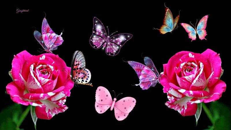 Pink Roses and Butterflies — Fantastical