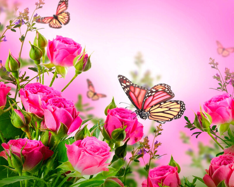Pink Roses and Butterflies — Serene, Spring, Digital Art