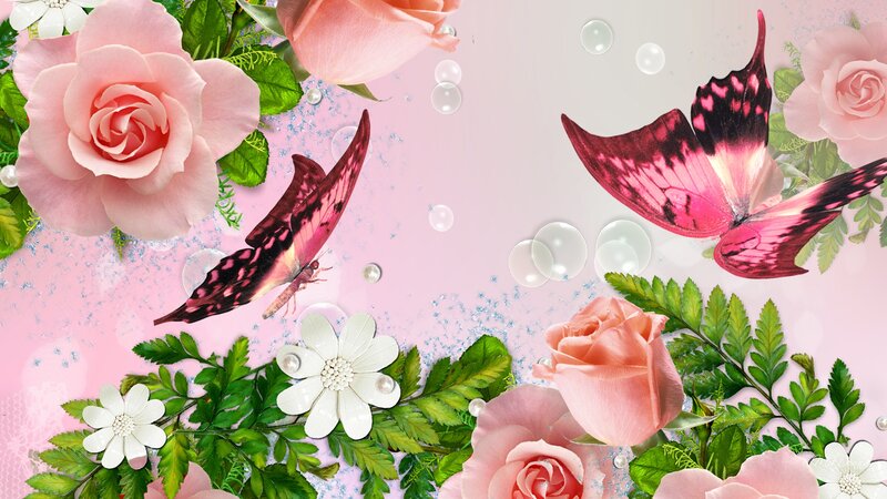 Pink Roses and Butterflies — Serene