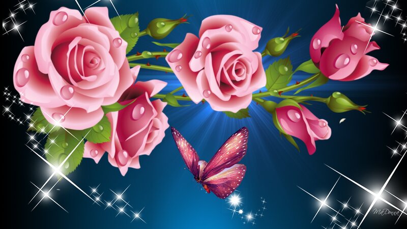 Pink Roses and Butterfly — Blue
