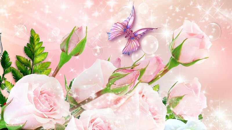 Pink Roses and Butterfly — Dreamy
