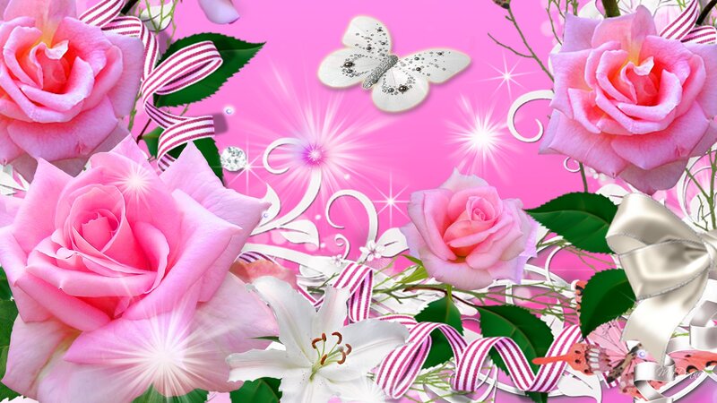 Pink Roses and Butterfly — Festive