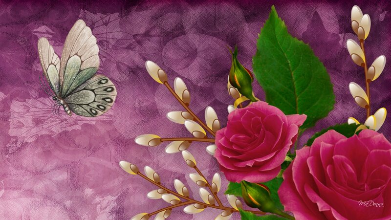 Pink Roses and Butterfly — Purple