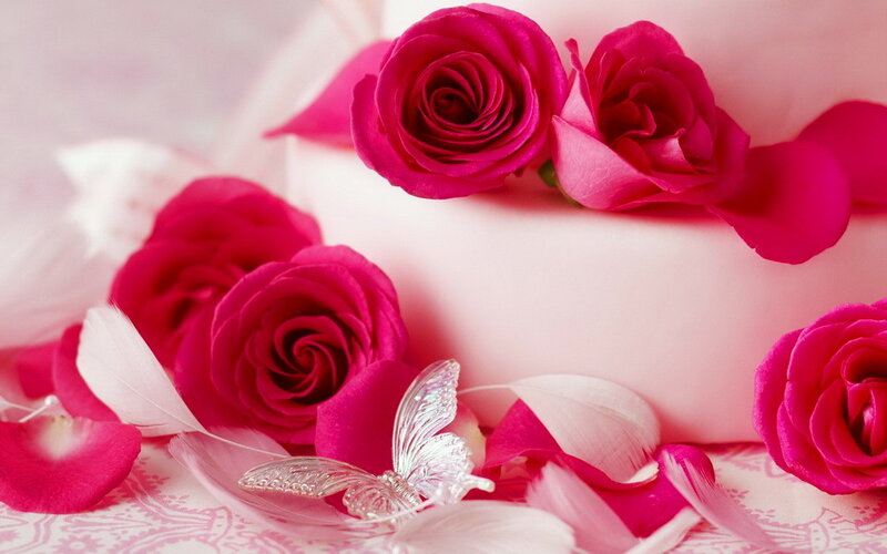 Pink Roses and Butterfly — Romantic