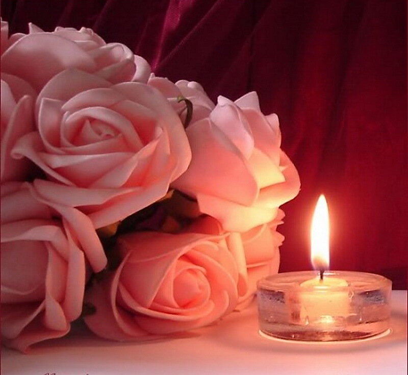 Pink Roses and Candle — Calm
