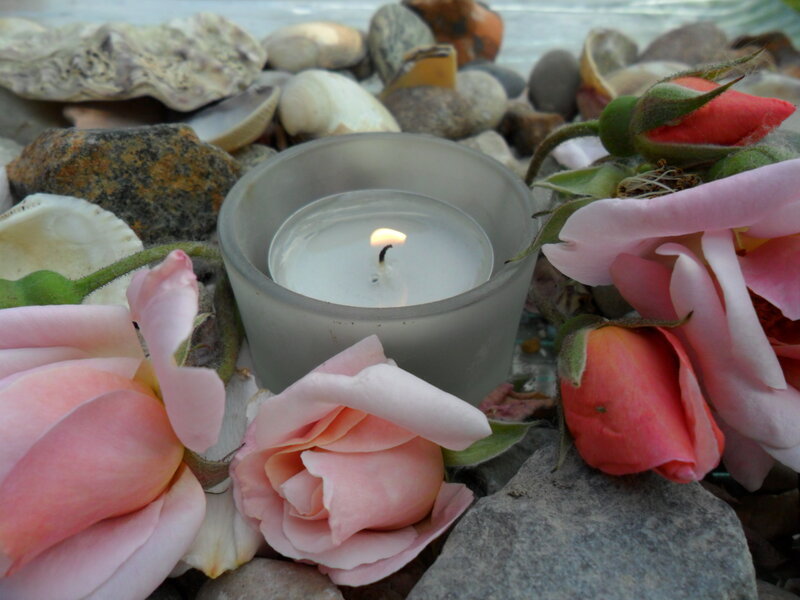 Pink Roses and Candle — Serene