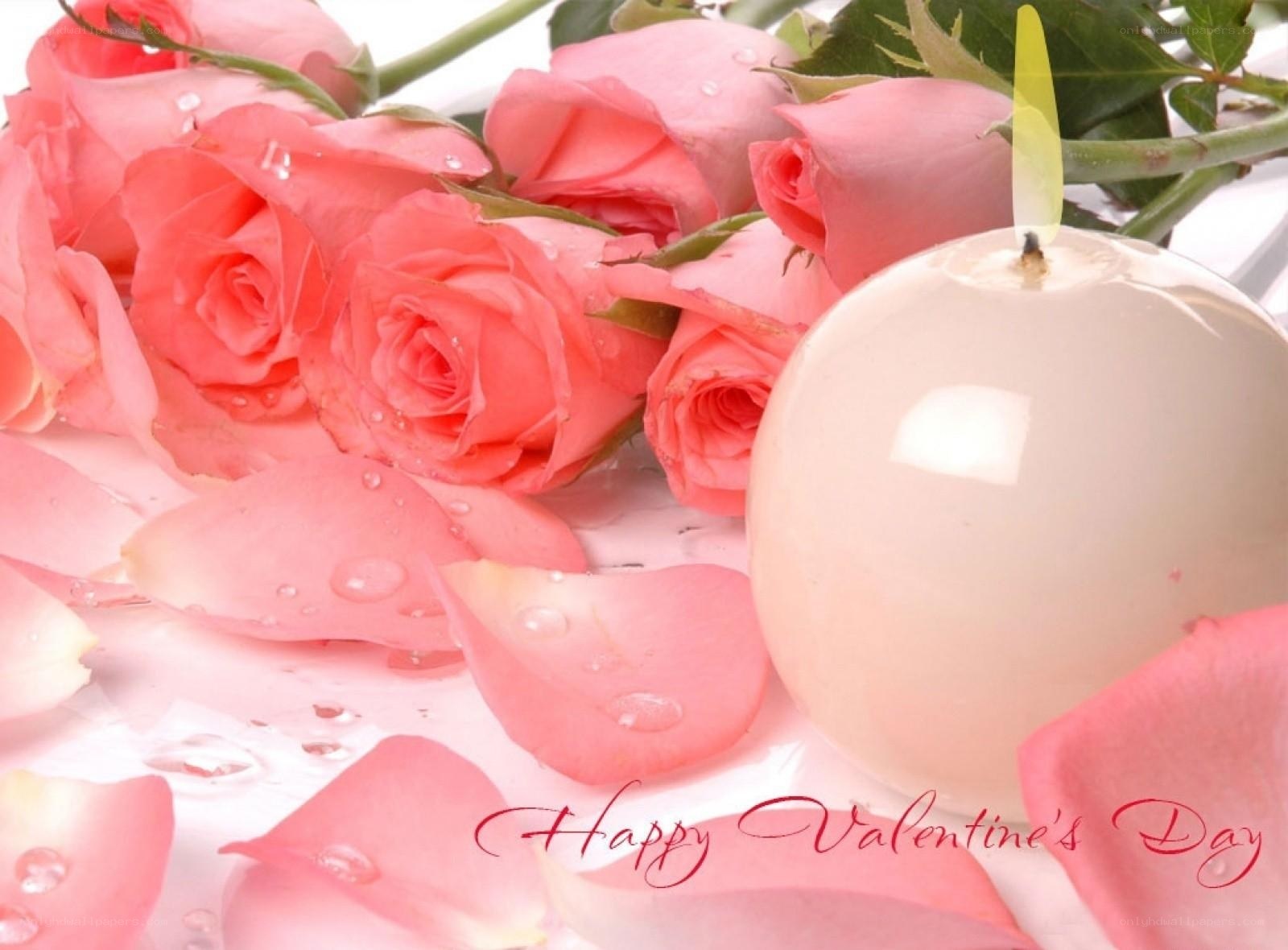Pink roses and candle