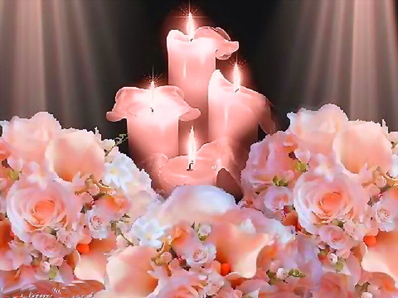 Pink Roses and Candles — Serene