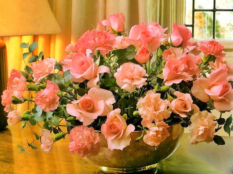 Pink Roses and Carnations — Calm, Afternoon