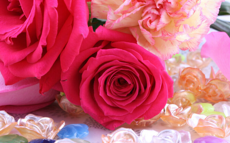 Pink Roses and Carnations — Calm, Photograph