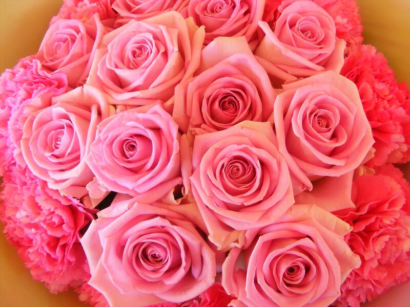 Pink Roses and Carnations — Calm