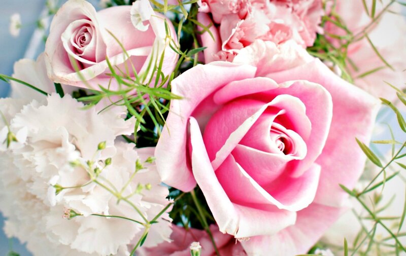 Pink Roses and Carnations — Serene, Photograph