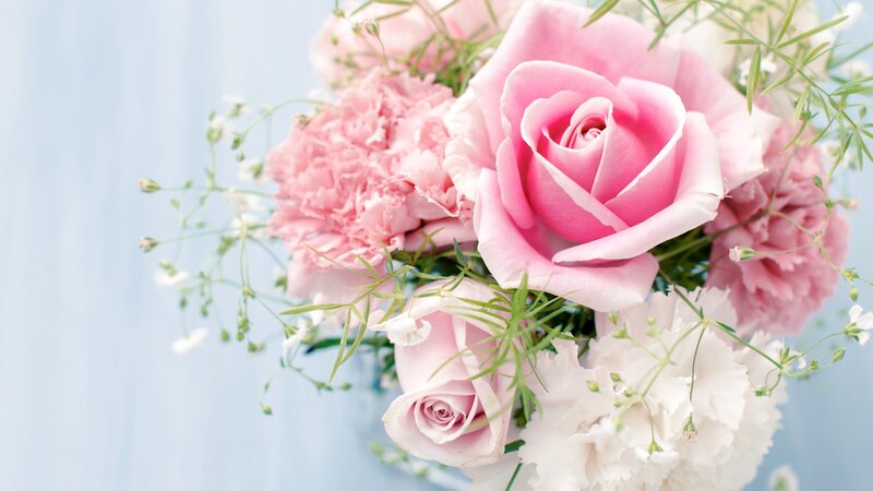 Pink Roses and Carnations — Serene