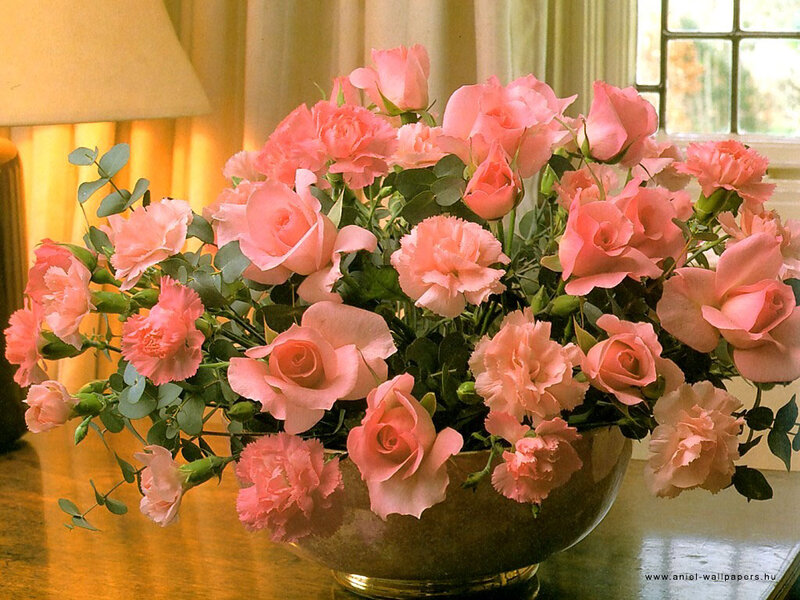 Pink Roses and Carnations