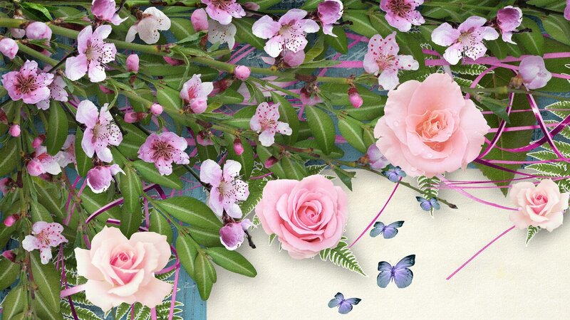 Pink Roses and Cherry Blossoms