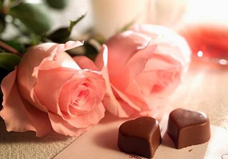 Pink Roses and Chocolates — Romantic
