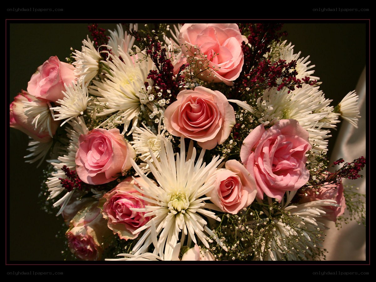 Pink roses and chrysanthemums